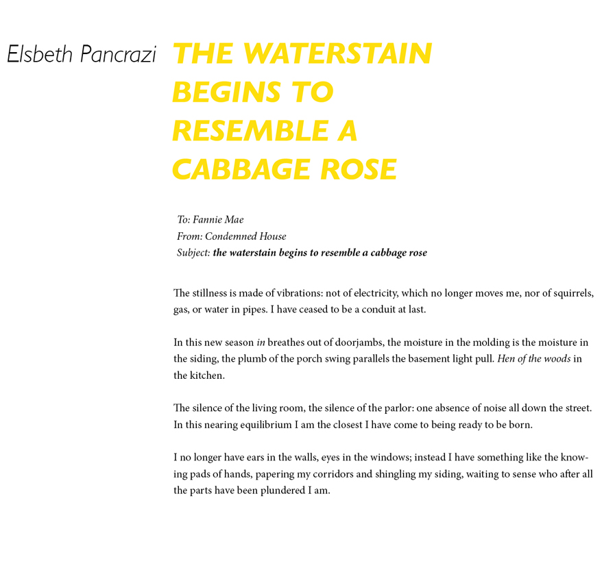 The Waterstain Begins to Resemble A Cabbage Rose